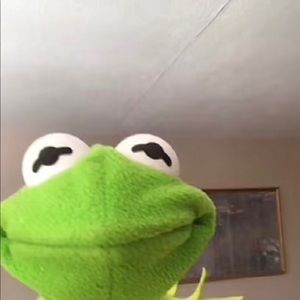 Meet your Posher, Cherise